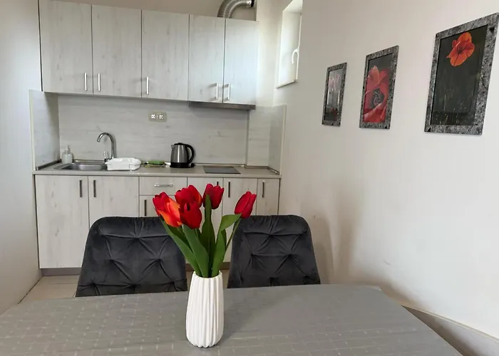 Casa de hóspedes Complex Pika