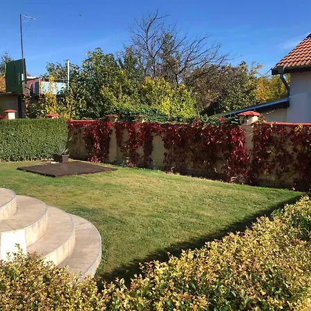 Complex Pika Золотые Пески