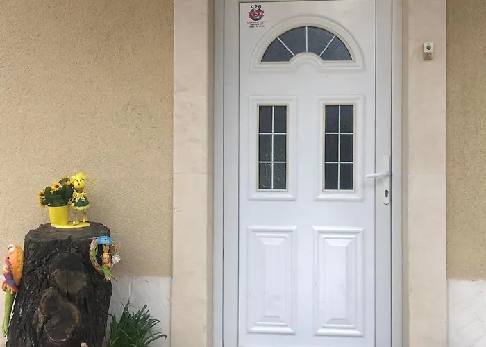 Complex Pika 招待所